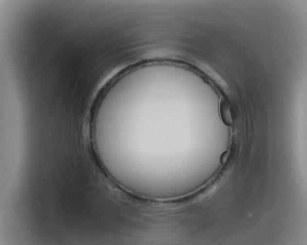 X0000115510877200911061001