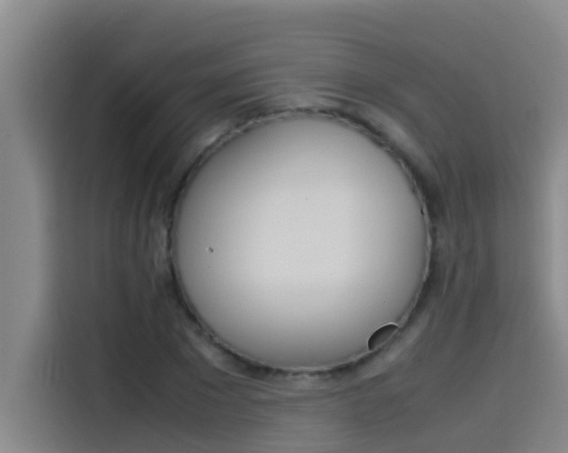 X0000115510881200911061001