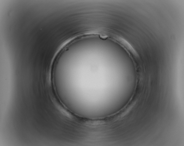 X0000115510884200911061001
