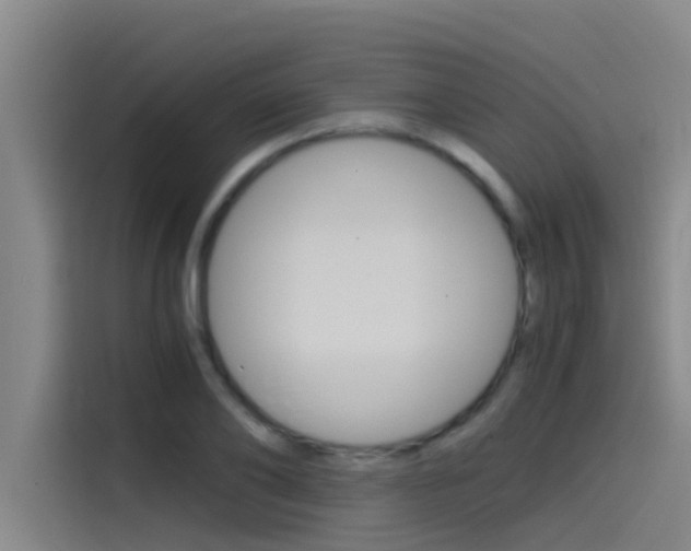 X0000115510886200911061001