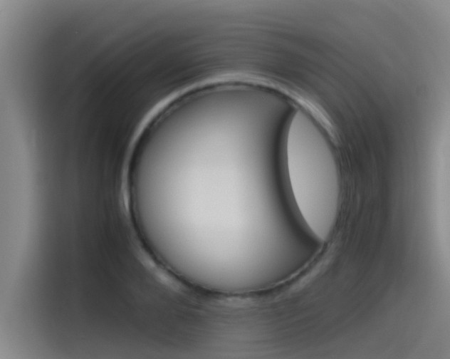 X0000115510888200911061000
