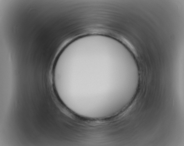 X0000115510891200911061000