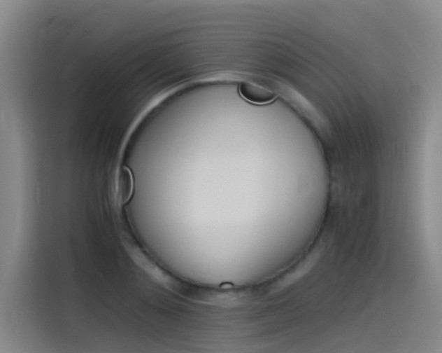 X0000115510892200911061000
