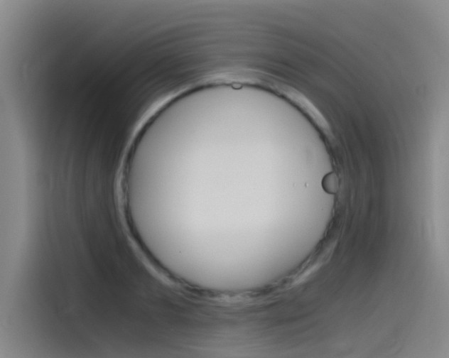 X0000115510893200911061000