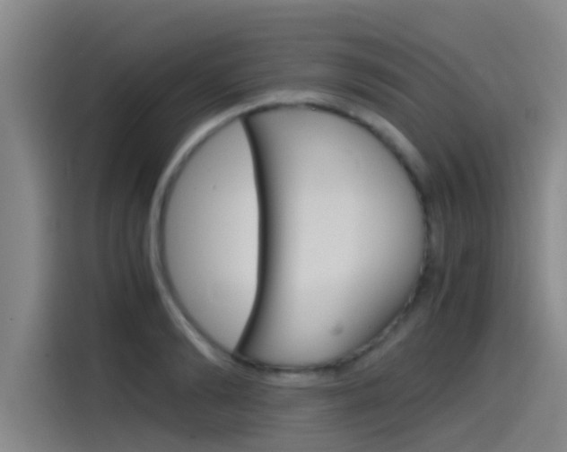 X0000115510894200911061000