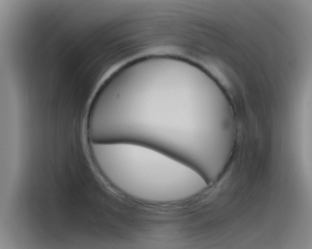 X0000115510895200911061000