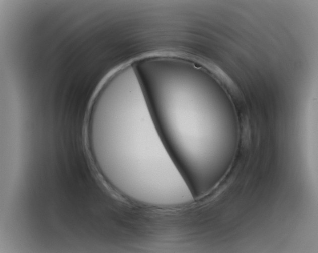 X0000115510896200911061000