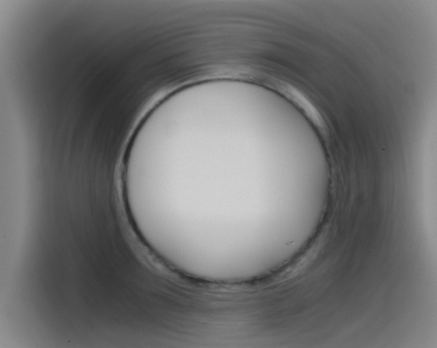 X0000115510899200911061000