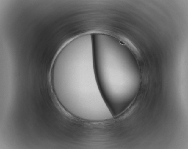 X0000115510900200911061000