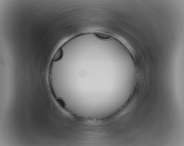 X0000115510901200911061000