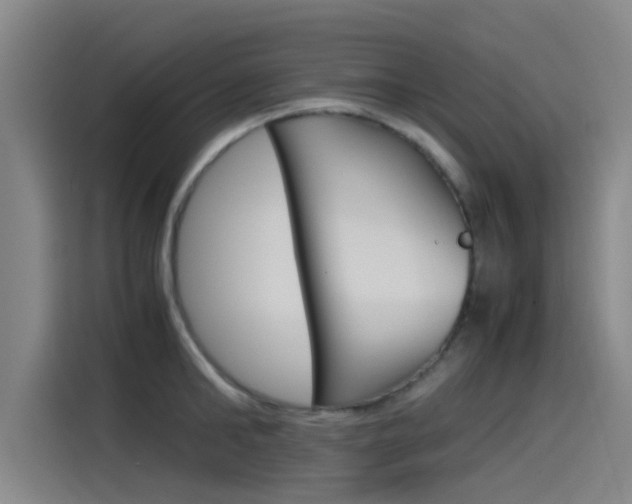 X0000115510902200911061000