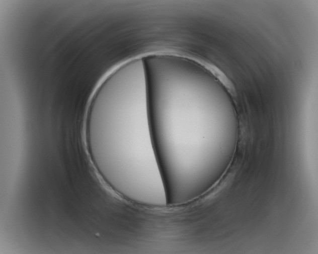 X0000115510904200911061000