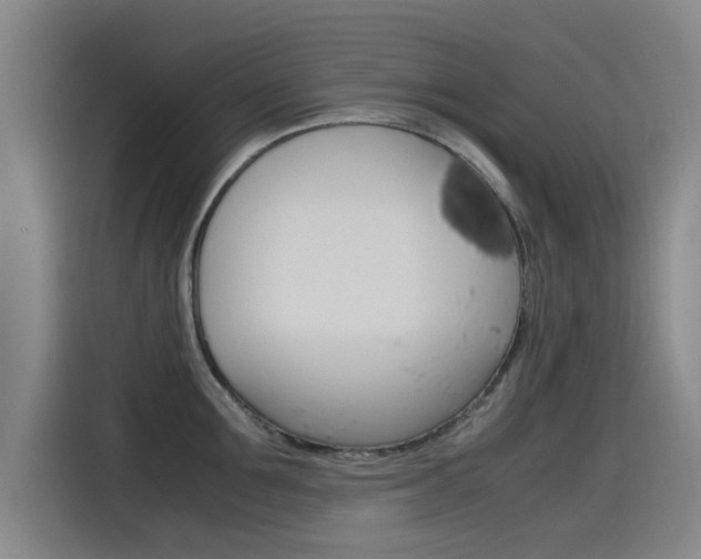X0000115510907200911061000