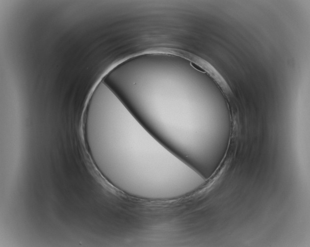 X0000115510908200911061000