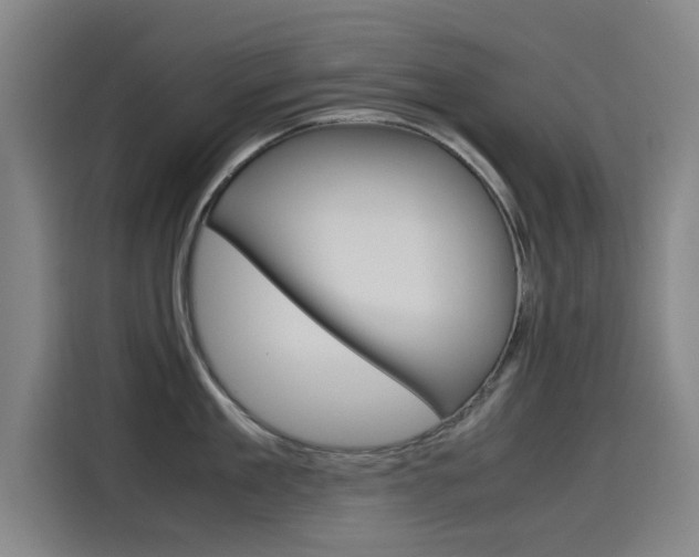 X0000115510909200911061000