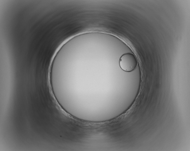 X0000115510912200911061000