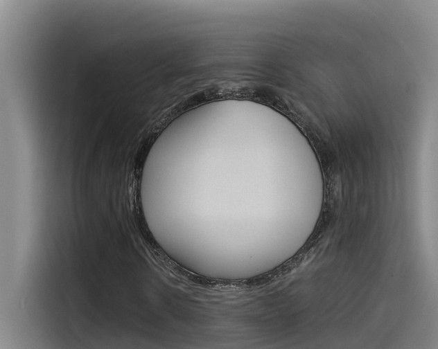 X0000115510914200911060959