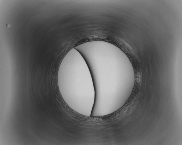 X0000115510915200911060959