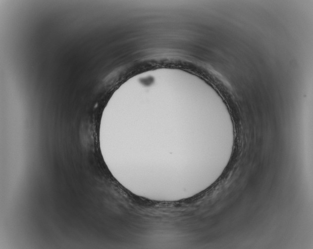 X0000115510918200911060959