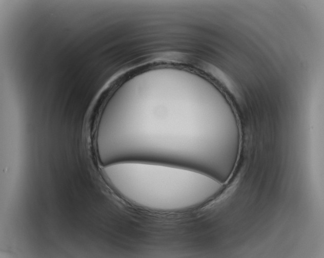 X0000115510923200911060959