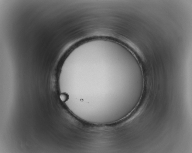 X0000115510926200911060959