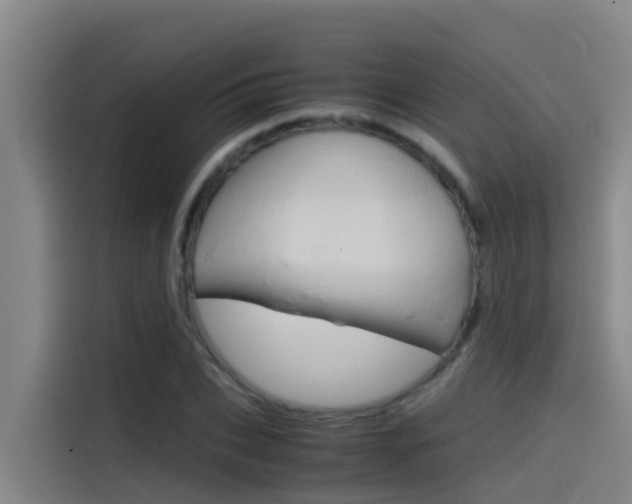 X0000115510927200911060959