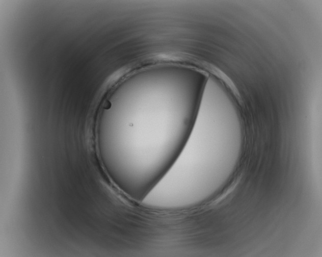 X0000115510930200911060959