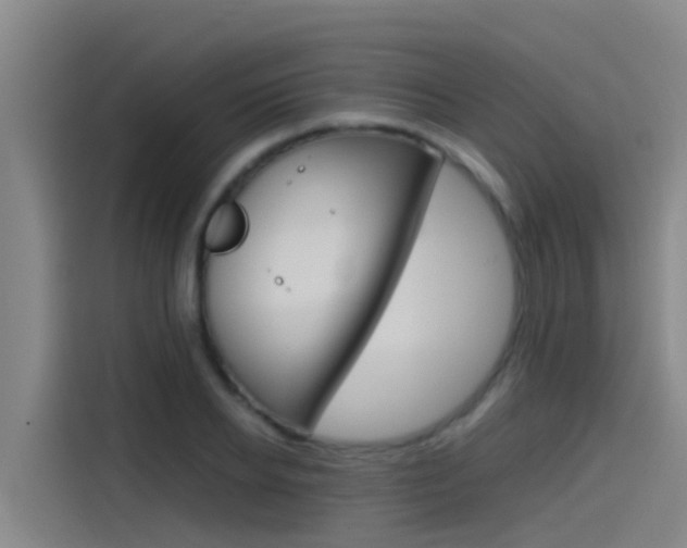 X0000115510934200911060959