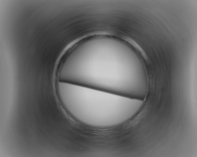 X0000115510935200911060959