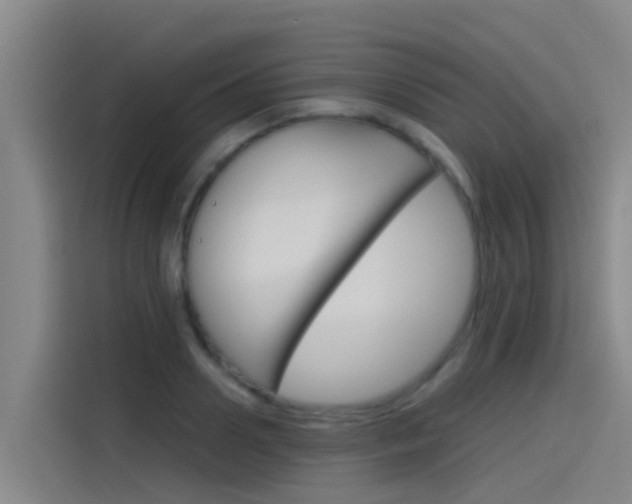 X0000115510938200911061000