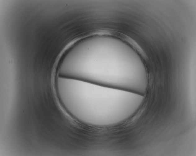 X0000115510939200911061000