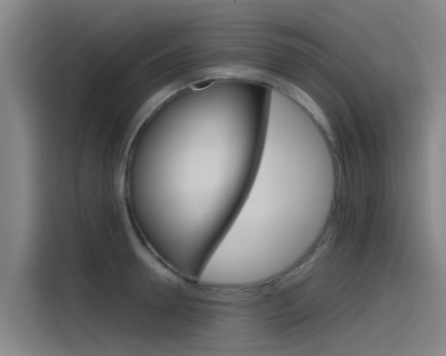 X0000115510946200911061000