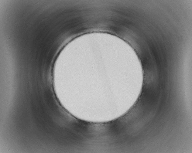 X0000115510950200911061000