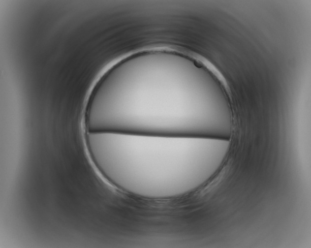 X0000115510951200911061000