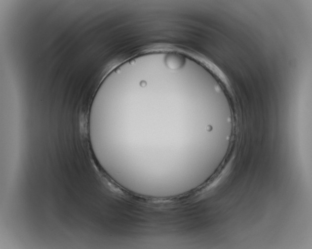 X0000115510953200911061000