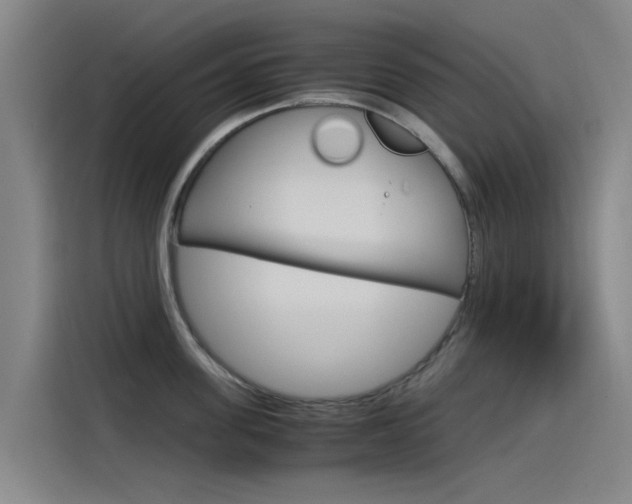 X0000115510955200911061000