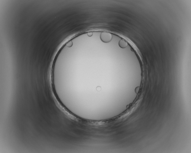 X0000115510957200911061000
