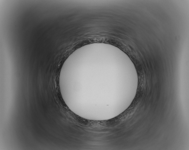 X0000115510962200911060959