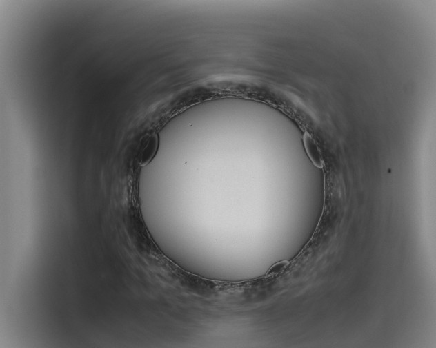 X0000115510965200911060959