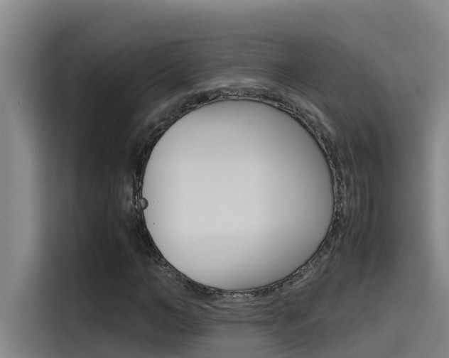 X0000115510966200911060959