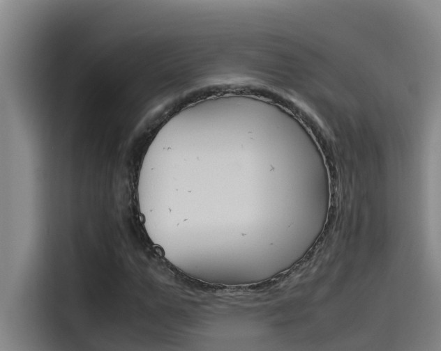 X0000115510967200911060959