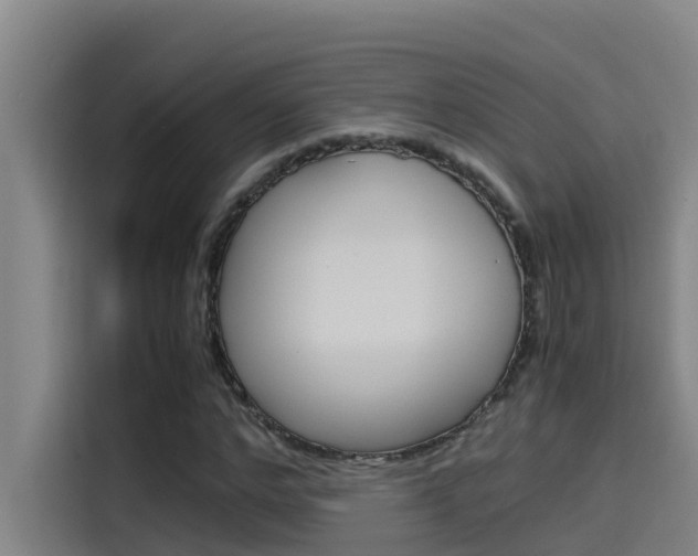 X0000115510968200911060959