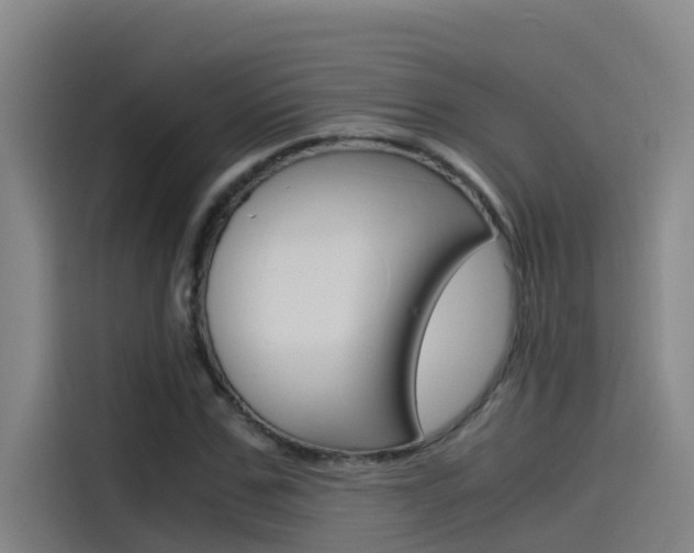 X0000115510971200911060959