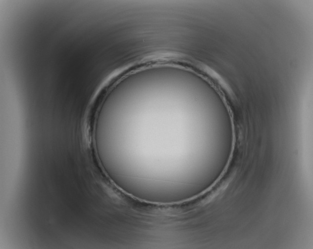 X0000115510973200911060959