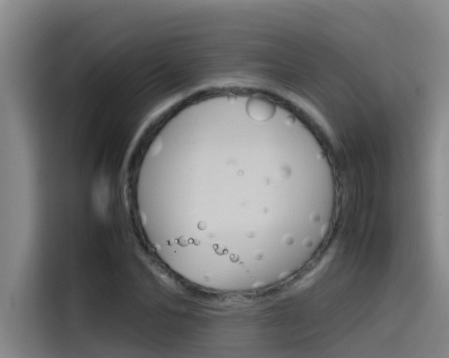 X0000115510974200911060959