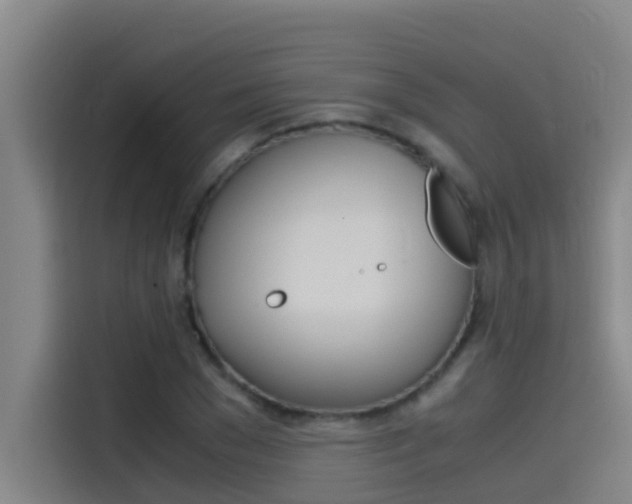X0000115510977200911060959