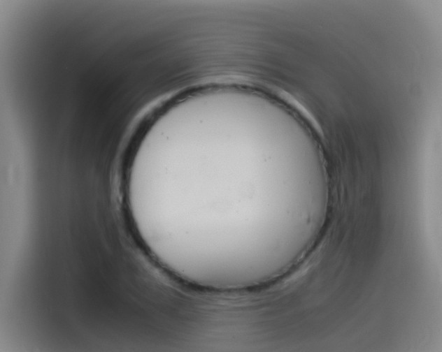 X0000115510979200911060959