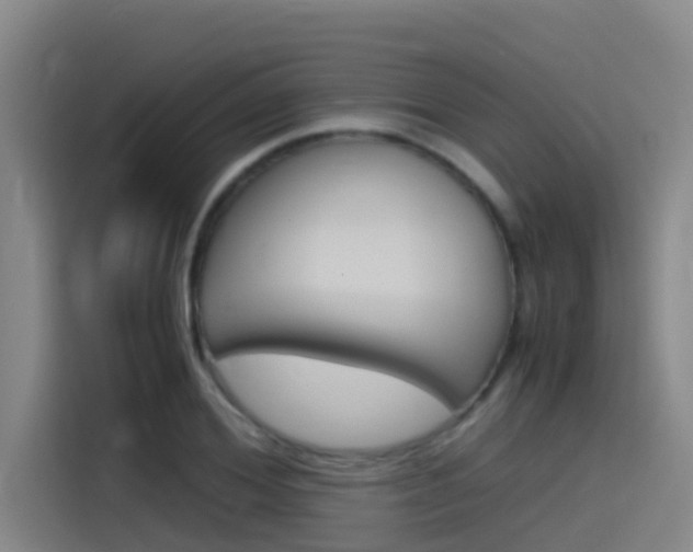 X0000115510980200911060959