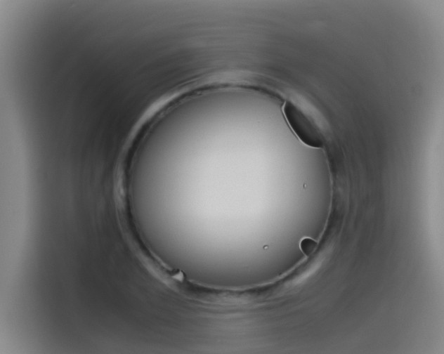 X0000115510981200911060959