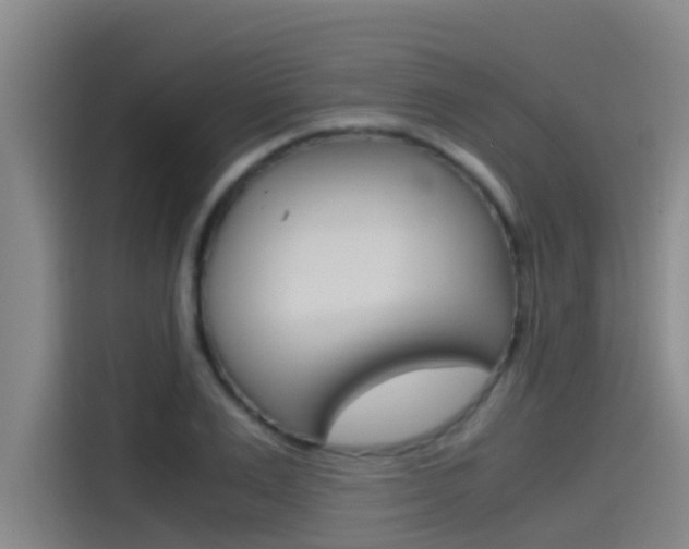 X0000115510983200911060959